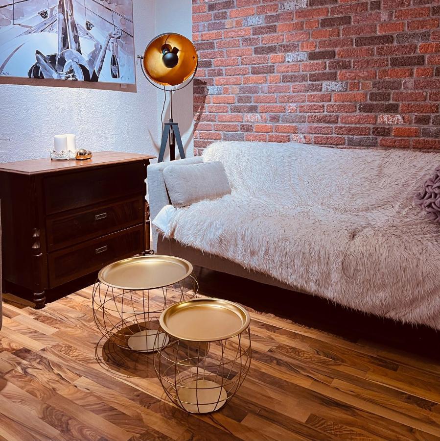 Charmante Ferienwohnung In Dresden Striesen - Frau Pie Appartement Εξωτερικό φωτογραφία